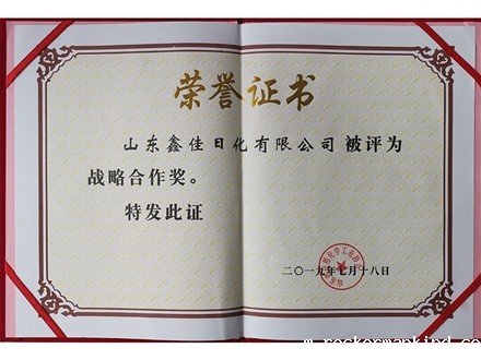 战略合作奖